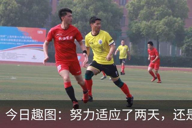 今日趣图：努力适应了两天，还是适应不了补水时间放广告……
